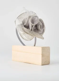 Accessoire Pour Cheveux Crambes Gris