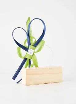 Accessoire Pour Cheveux Tout En Tete Vert