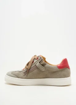 Baskets Acebos Gris Bout Rond