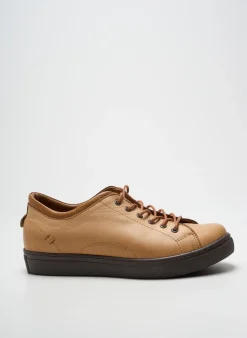 Baskets Andrea Conti Marron Talon Plat Jusqu'à 3cm