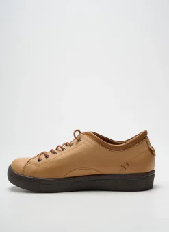 Baskets Andrea Conti Marron Talon Plat Jusqu'à 3cm