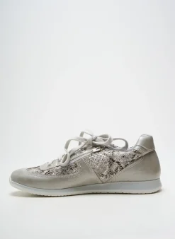 Baskets Bellamy Gris Talon Plat Jusqu'à 3cm