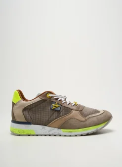 Baskets Cetti Marron Bout Rond