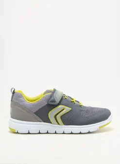 Baskets Geox Gris Bout Rond