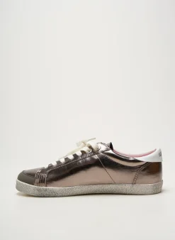 Baskets Superdry Gris