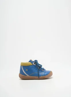 Bottillons Aster Bleu Bout Rond