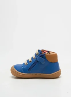 Bottillons Aster Bleu Bout Rond