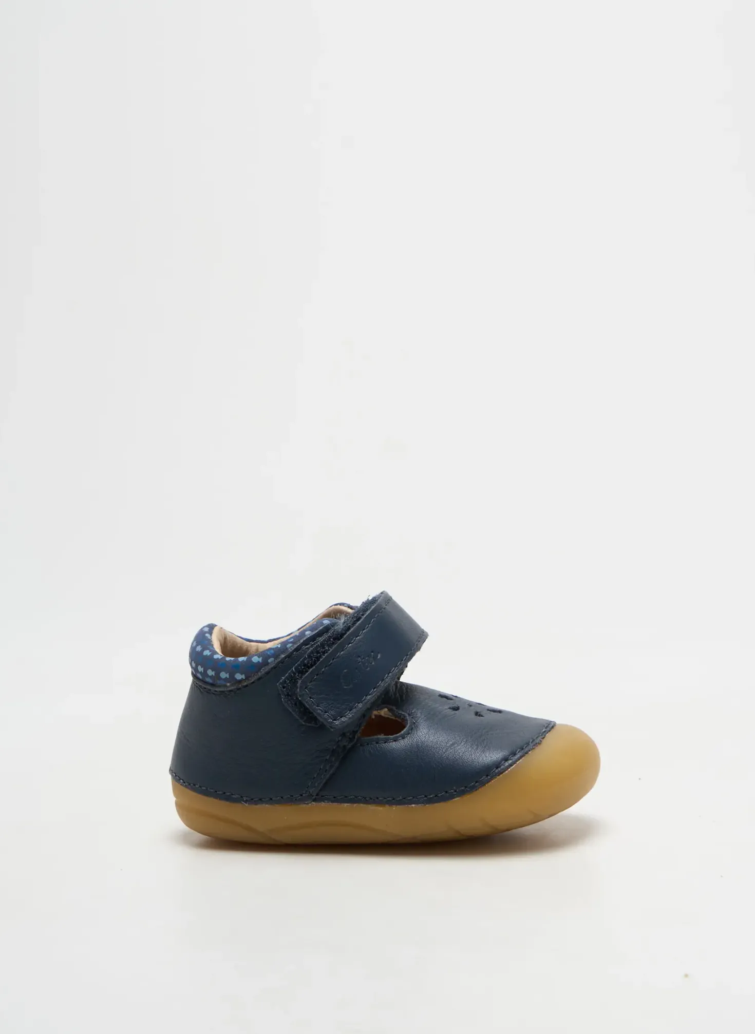 Bottillons Aster Bleu Bout Rond