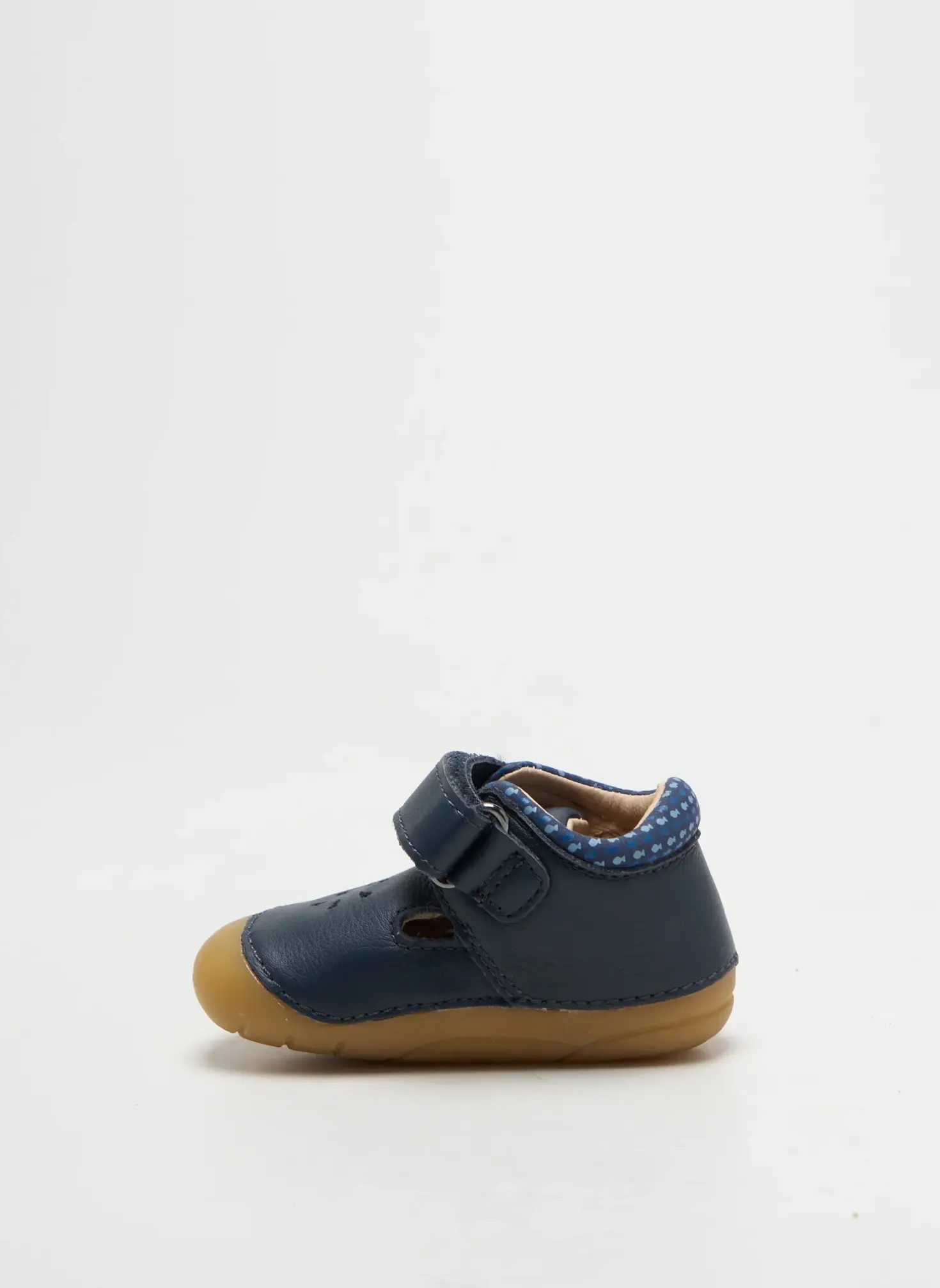 Bottillons Aster Bleu Bout Rond