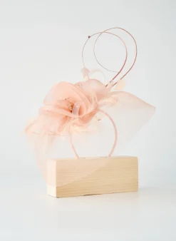 Chapeau Maddox Rose