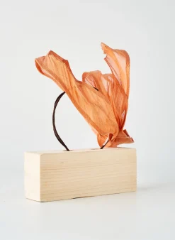 Chapeau Virginie Poisson Orange
