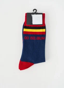 Chaussettes Roaring Socks Bleu