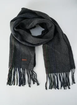 Echarpe Barts Gris