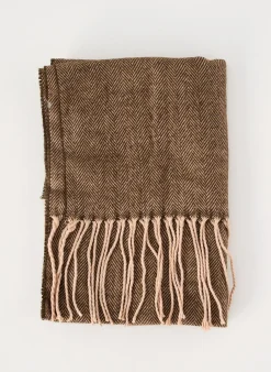 Echarpe Coveri World Marron