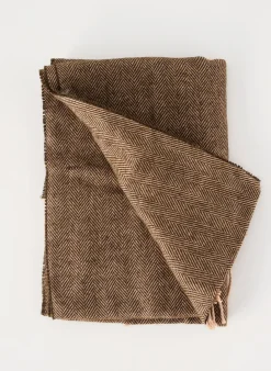 Echarpe Coveri World Marron