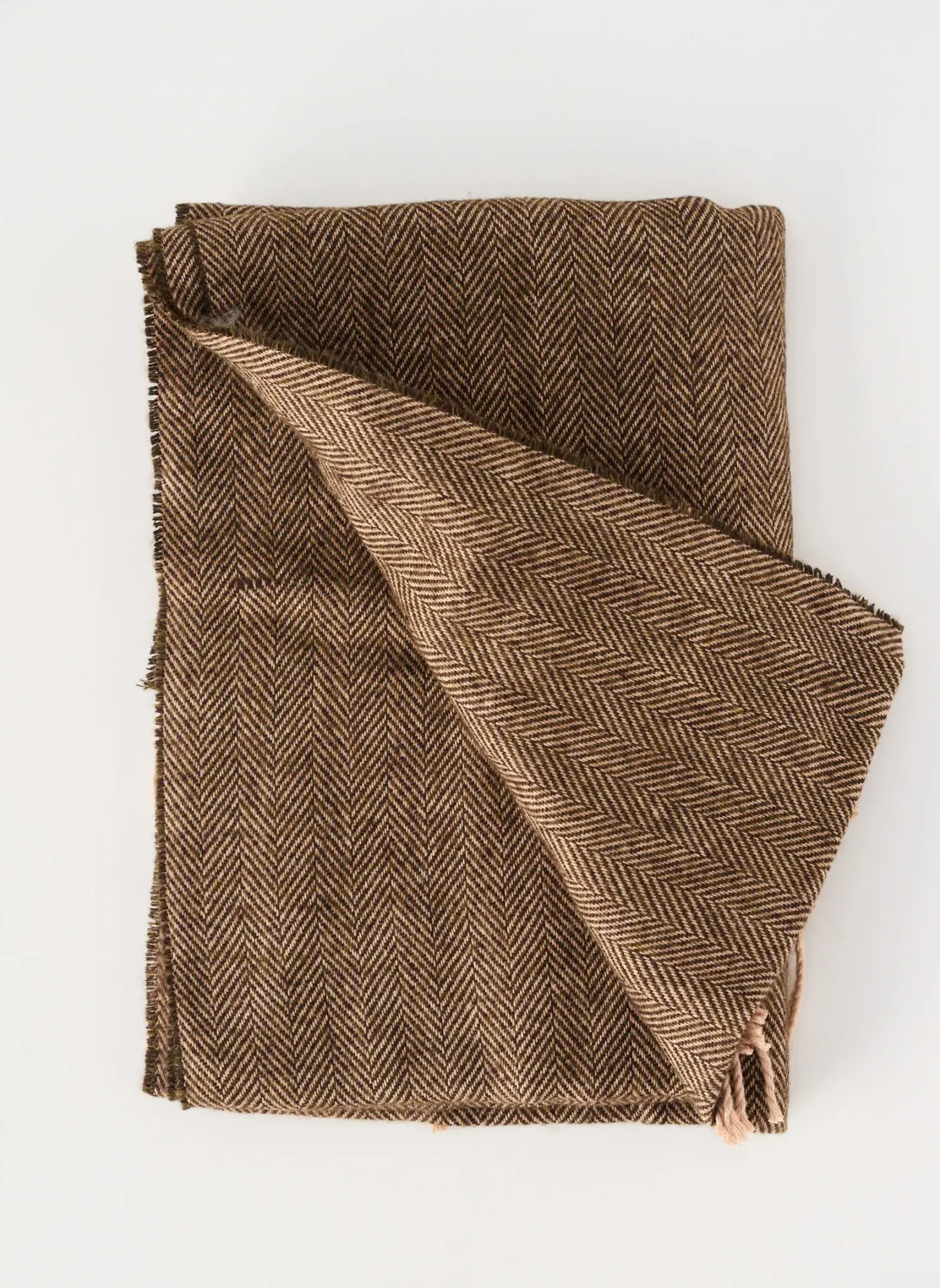 Echarpe Coveri World Marron