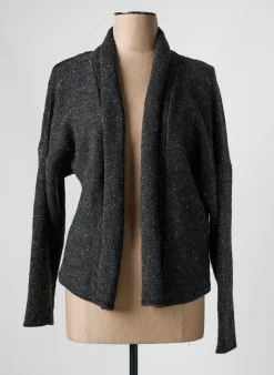 Gilet Manches Longues Jean Delfin Gris