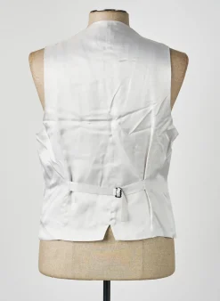 Gilet Sans Manche Pal Zileri Bleu