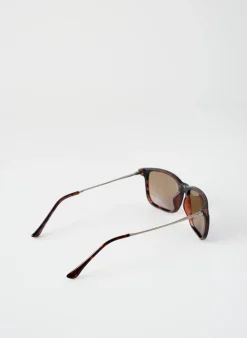 Lunettes De Soleil City Vision Eyewear Marron