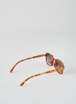 Lunettes De Soleil City Vision Eyewear Marron