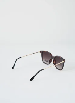 Lunettes De Soleil City Vision Eyewear Marron