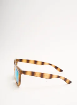 Lunettes De Soleil City Vision Eyewear Marron