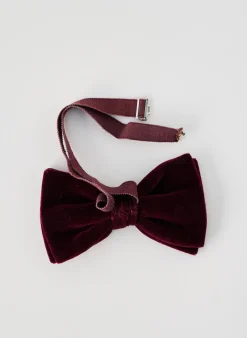 Noeud Papillon Sans Marque Violet