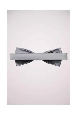Noeud Papillon Selected Gris