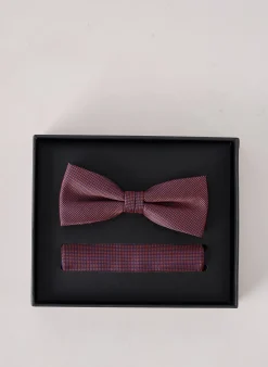 Noeud Papillon Venti Bleu