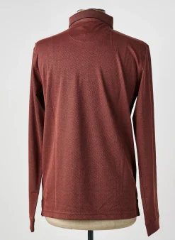 Polo Hajo Marron Manches Longues