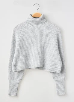 Pull Col Roulé Le Temps Des Cerises Gris Manches Longues