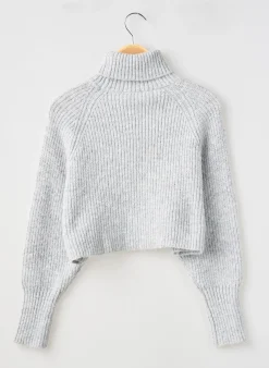 Pull Col Roulé Le Temps Des Cerises Gris Manches Longues