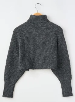 Pull Col Roulé Le Temps Des Cerises Gris Manches Longues