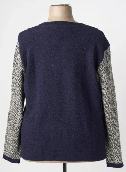 Pull Griffon Bleu Manches Longues