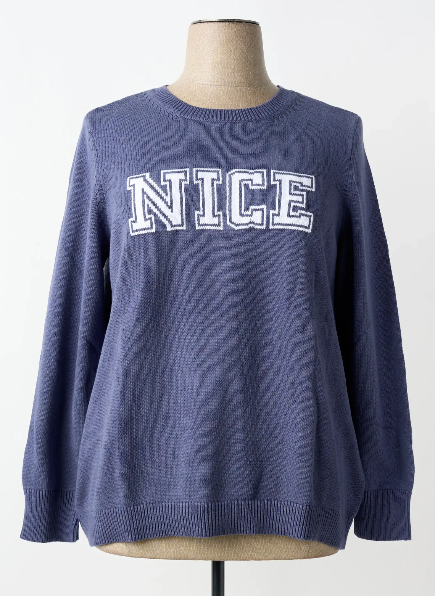 Pull Sheego Bleu Manches Longues