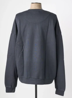 Sweat-shirt Iron And Resin Gris Manches Longues