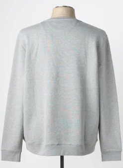 Sweat-shirt Mise Au Green Gris Manches Longues