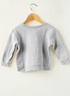 Sweat-shirt Ralph Lauren Gris Manches Longues
